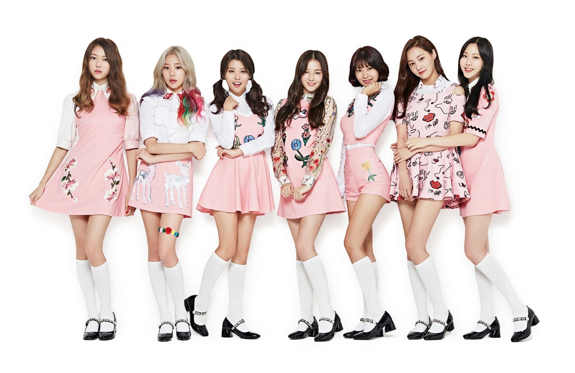 Momoland Wallpaper