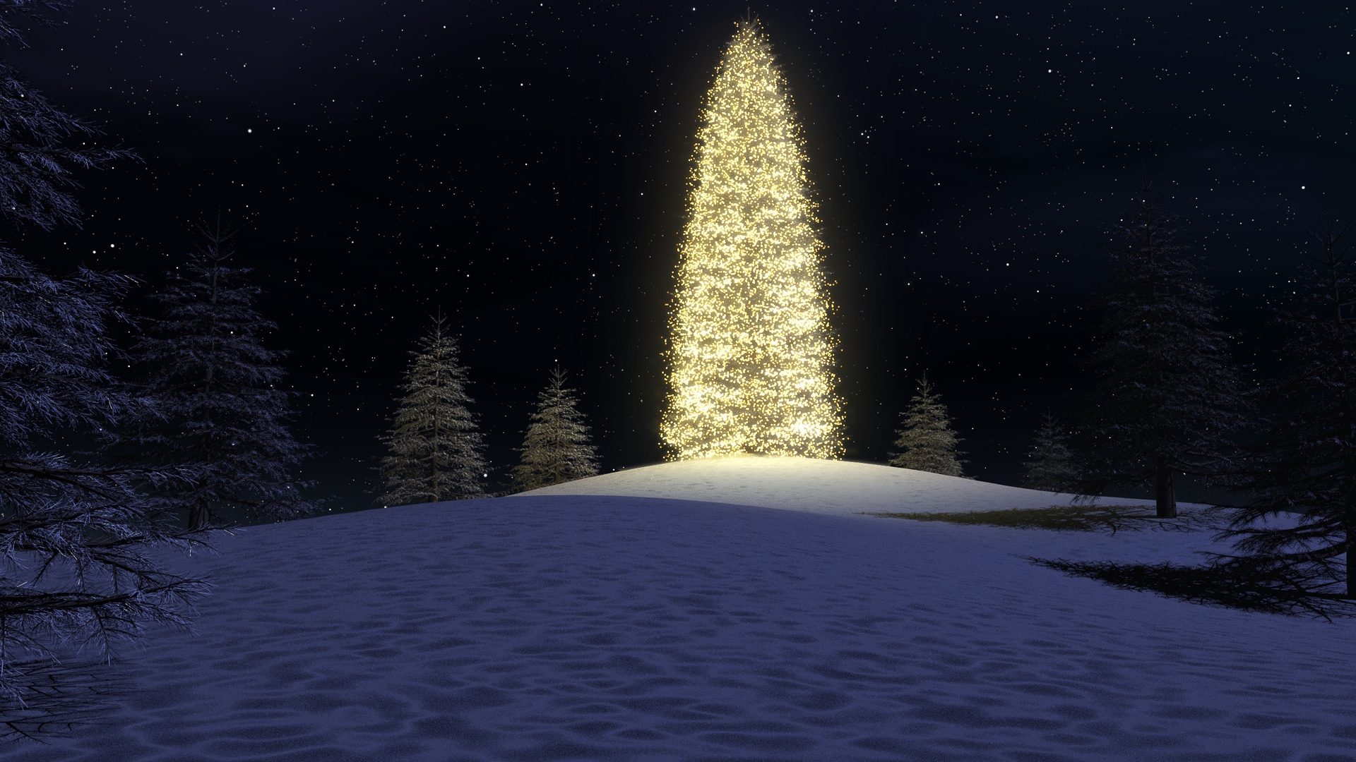 Download 1920x1080 HD Wallpaper christmas tree lights forest night, Desktop Background HD