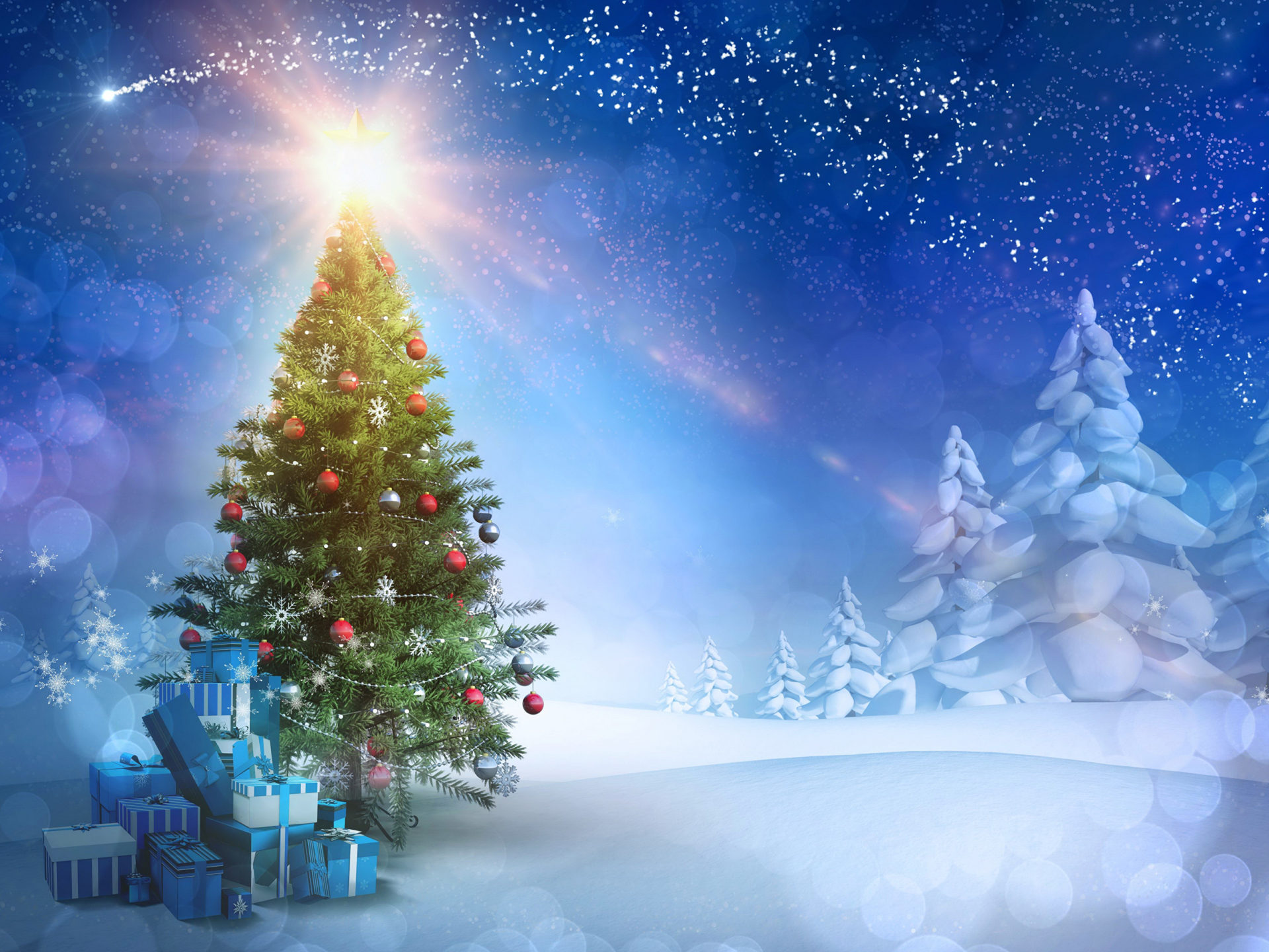 Forest Christmas Trees Wallpapers - Wallpaper Cave