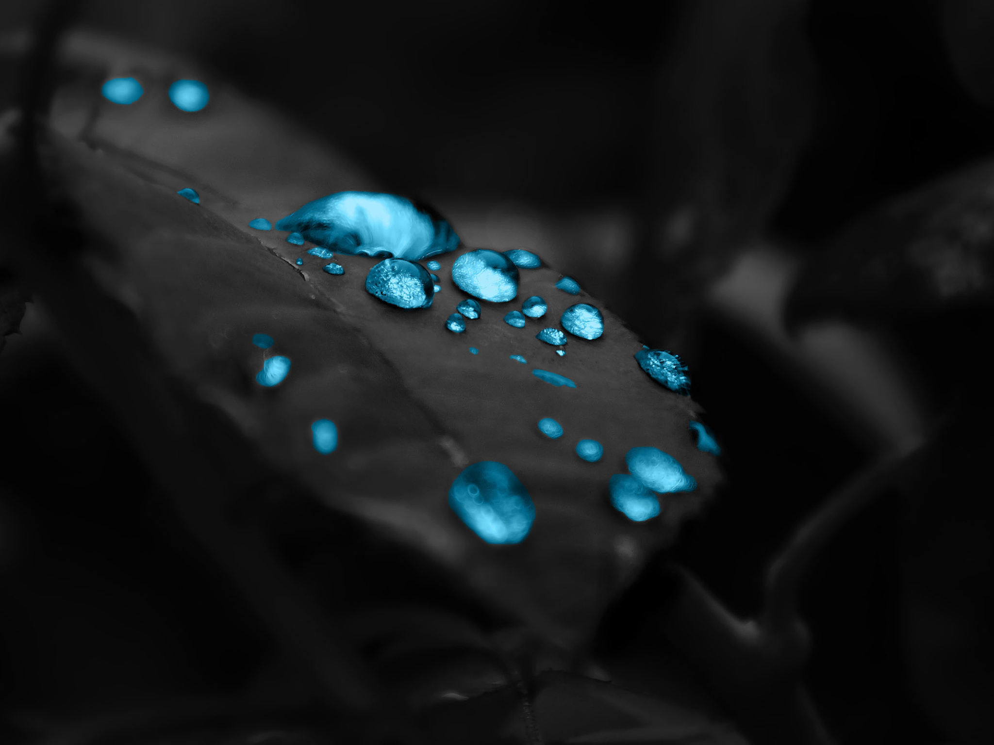 Water Drops Best HD Wallpaper