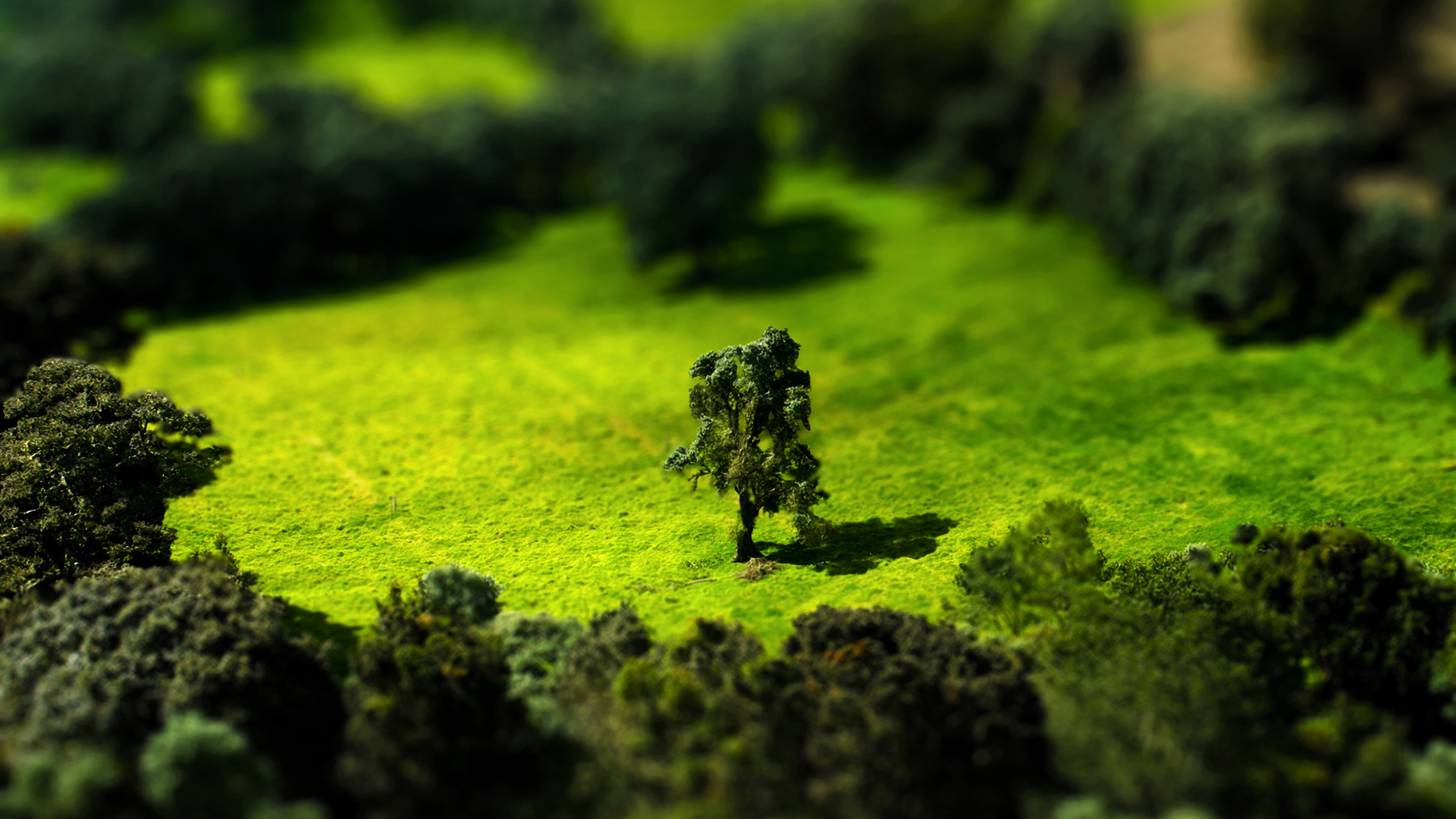 Tilt Shift Wallpaper