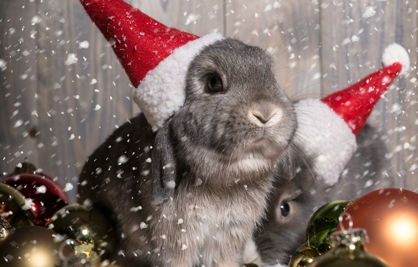 Wallpaper balls, decoration, holiday, New Year, Christmas, Christmas, New Year, bunny image for desktop, section новый год