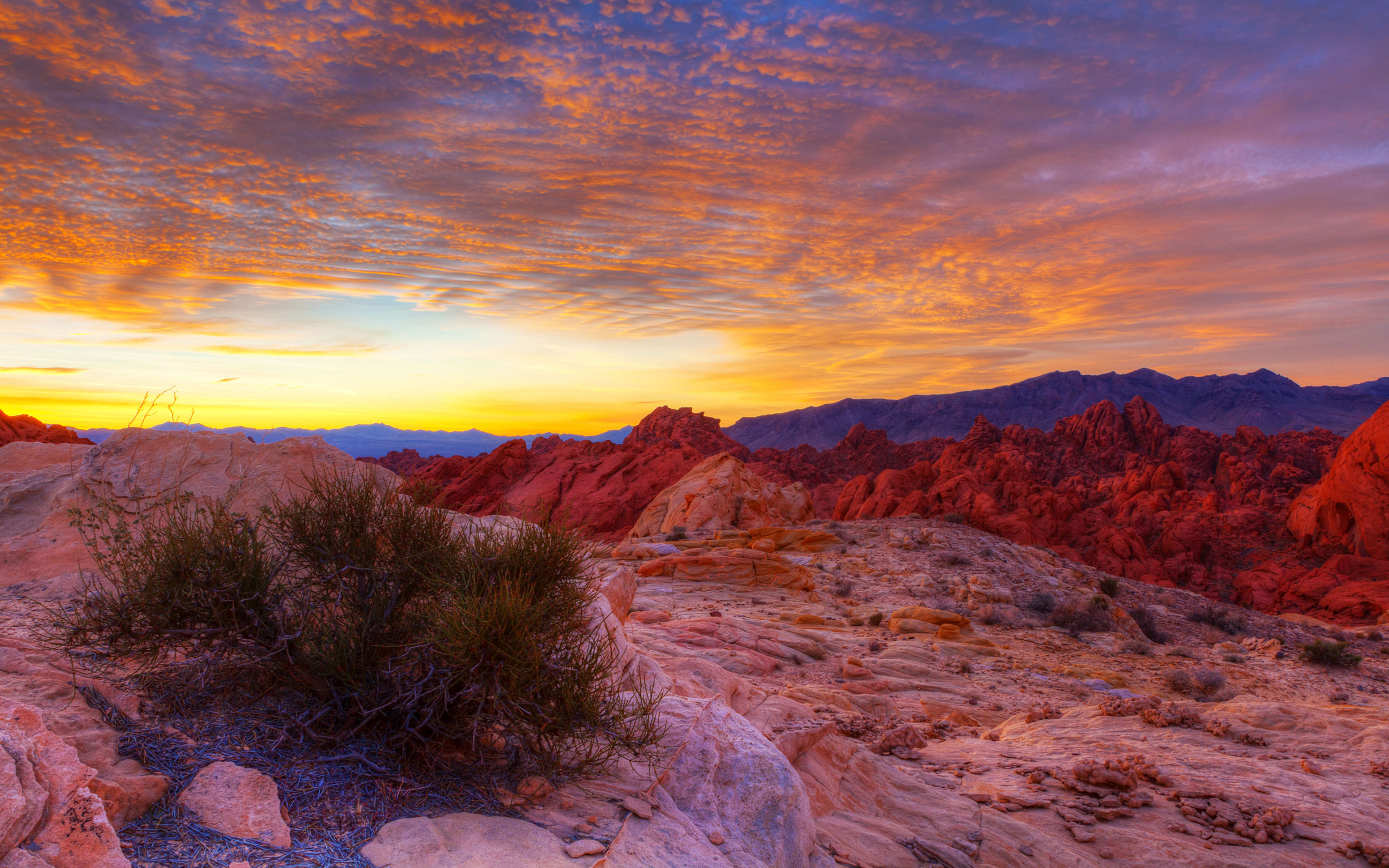 Valley Of Fire State Park Overton Nevada Landscape Sunrise 4k Ultra Hd Tv Wallpapers For Desktop Laptop Tablet And Mobile Phones 3840x2400 : Wallpapers13