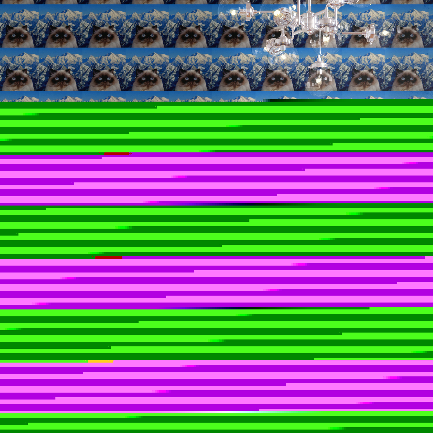 Himalayan Cat Wallpaper