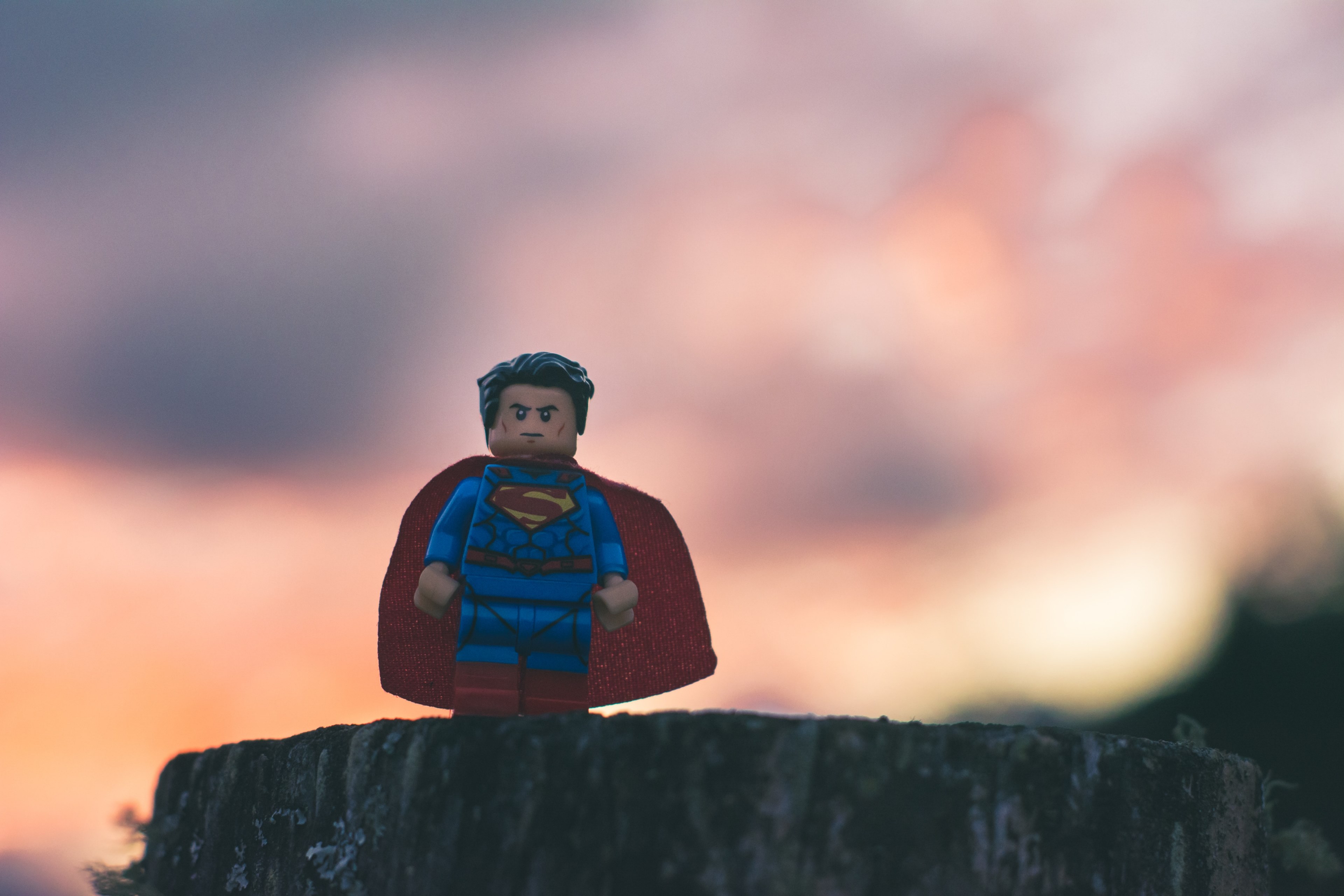 Wallpaper / superman lego minifigure and tree HD 4k wallpaper