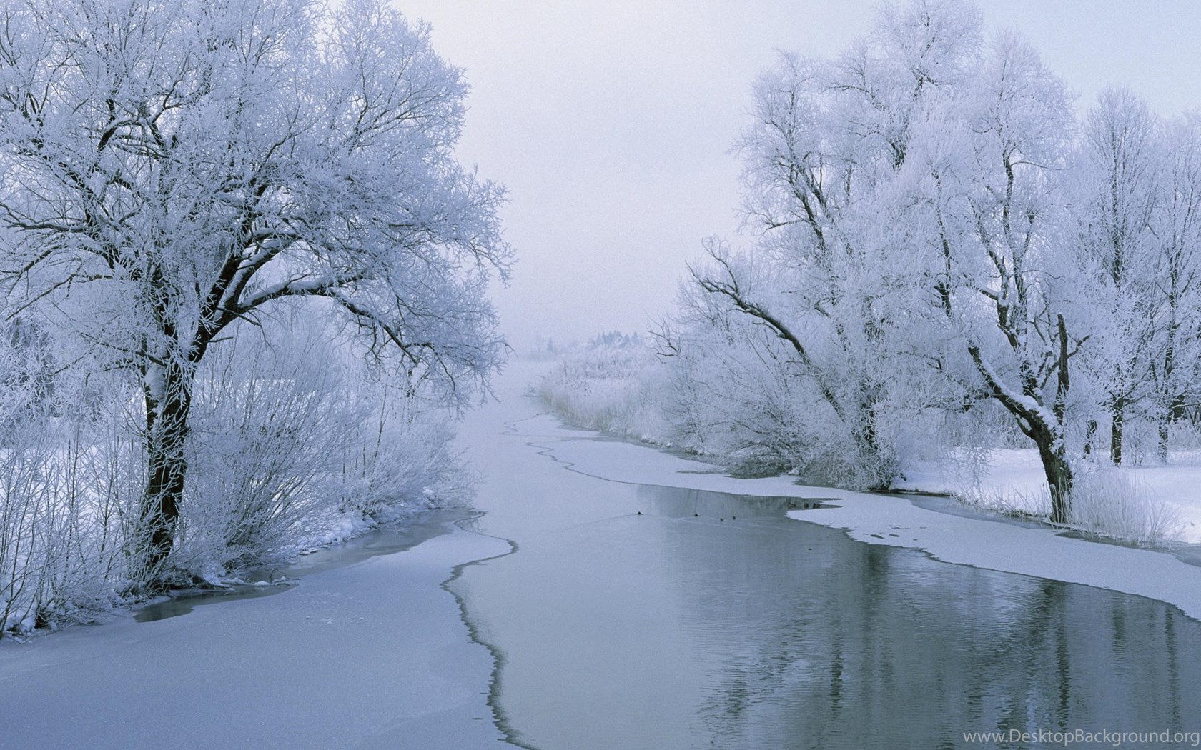 Frozen Lake And Snowy Scenery HD Wallpapers Desktop Backgrounds