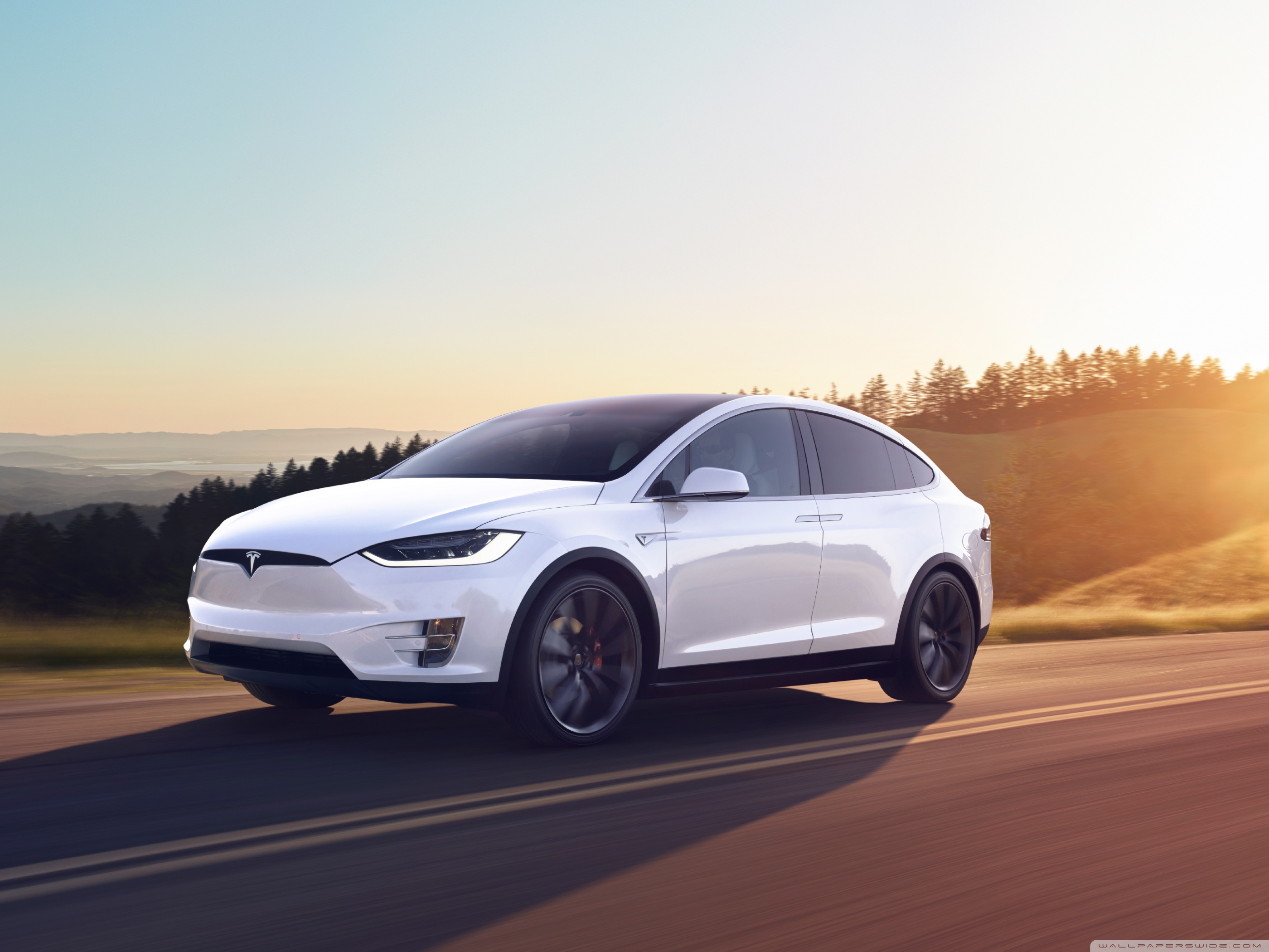 Tesla Model X SUV Electric Car