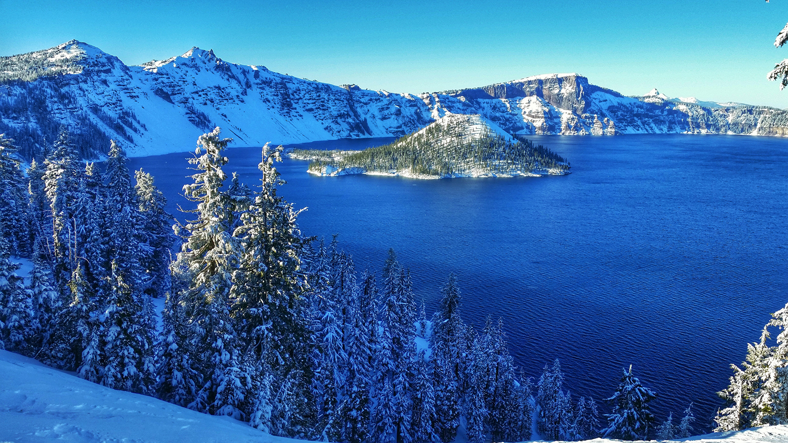 image USA Crater Lake National Park Winter Spruce Nature 2560x1440