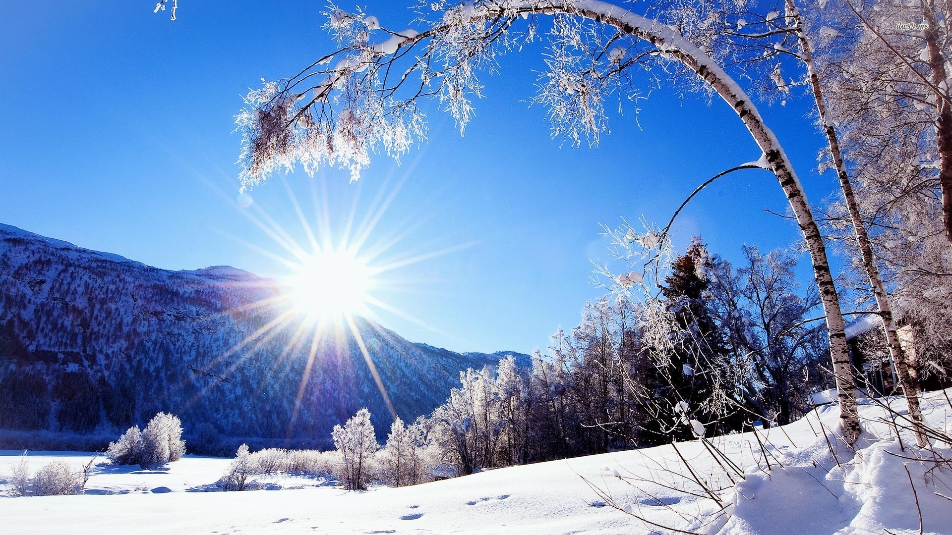 Winter Scenery Wallpaper Background