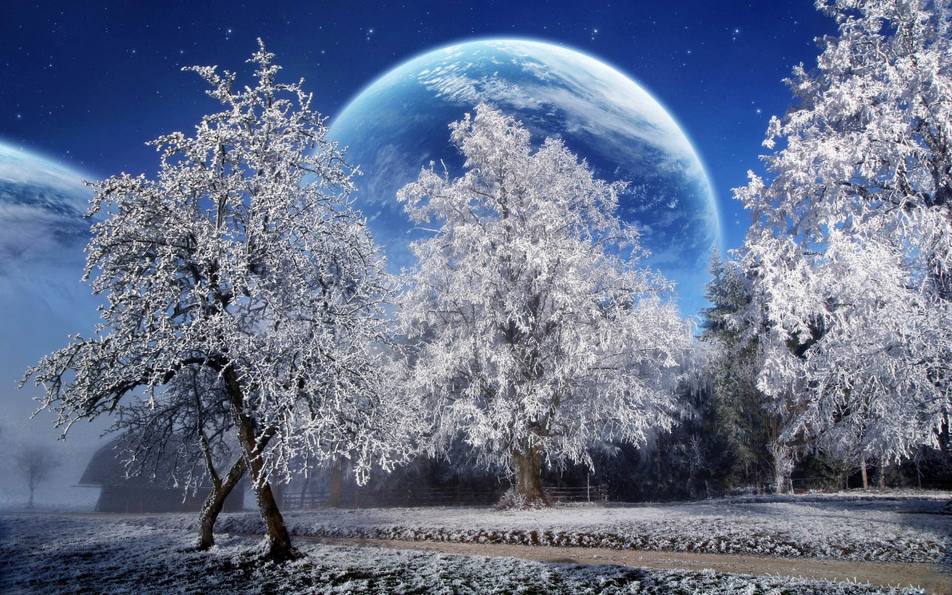 Wallpaper, sunlight, trees, planet, sky, park, snow, winter, stars, Earth, branch, ice, frost, hoarfrost, Freezing, tree, flower, weather, season, woody plant 1920x1200