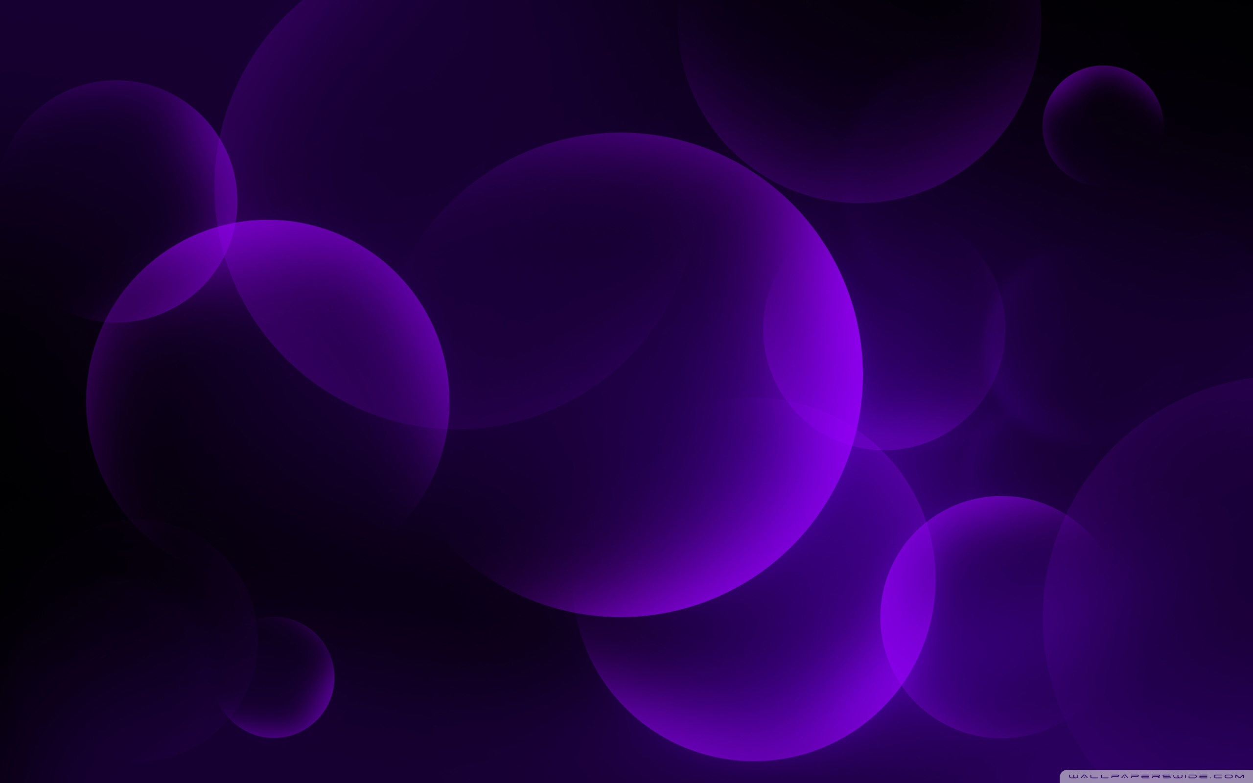 Purple Bubbles wallpaperx1600