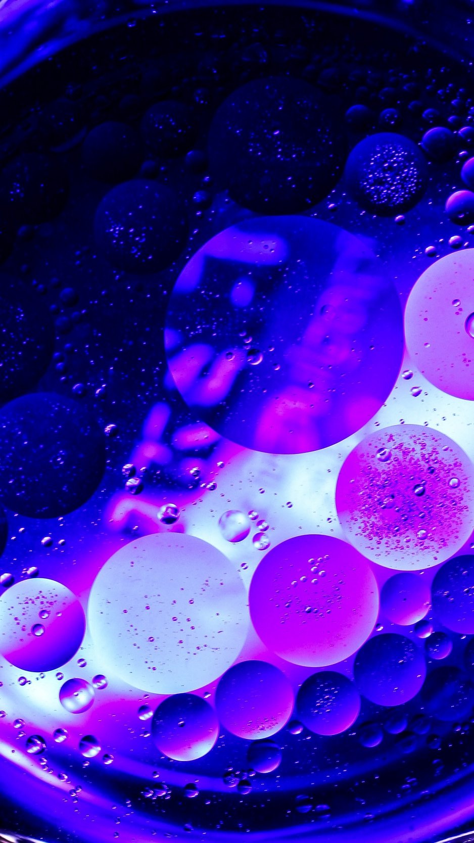 Wallpaper Circles, Bubbles, Purple, Macro Bubble iPhone Wallpaper HD