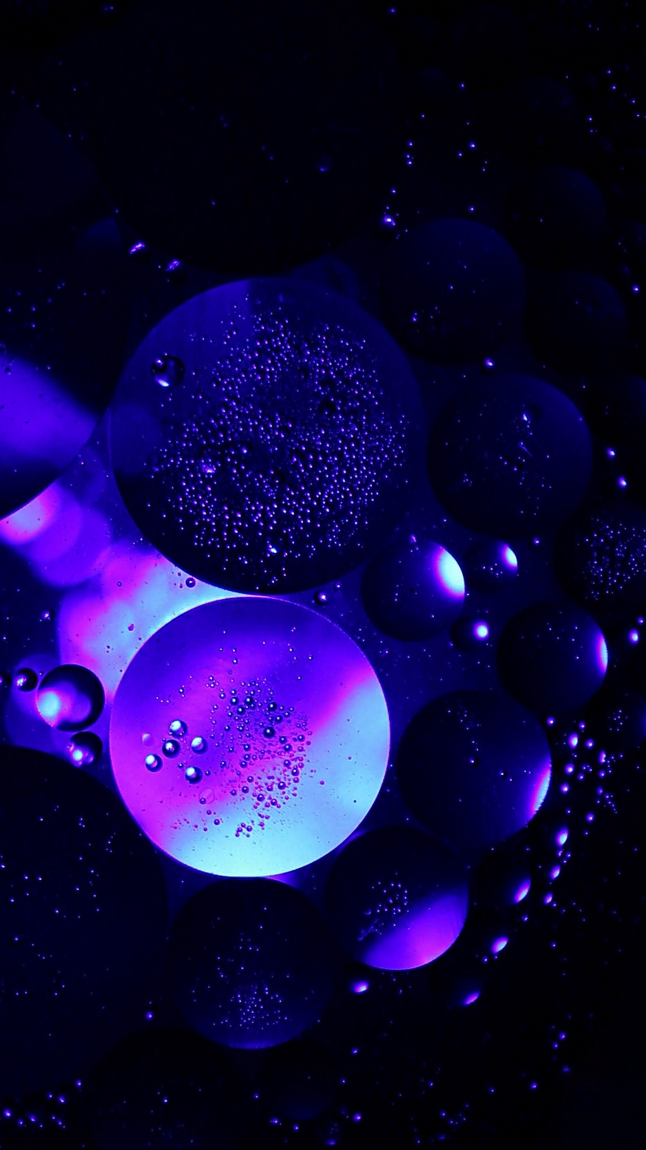 Bubbles, air, circles, structure, transparent, purple wallpaper