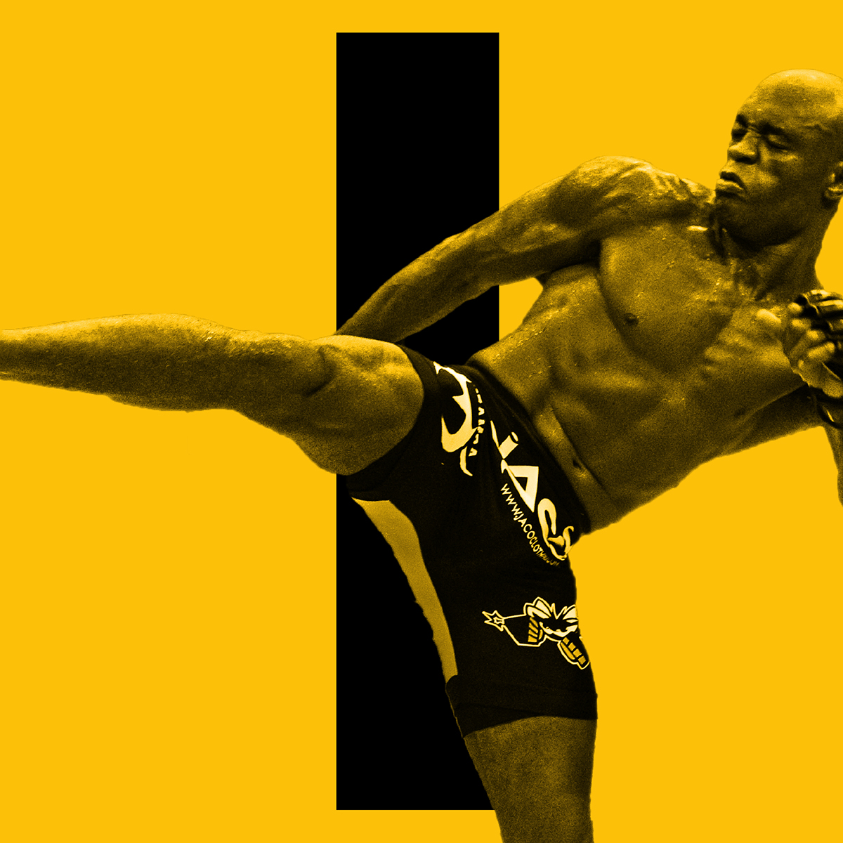 Anderson Silva Posters & Wallpaper