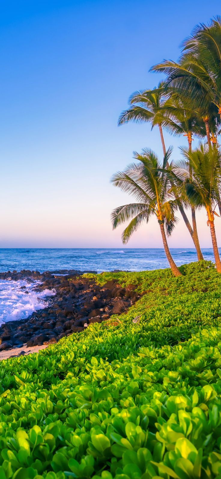 Wallpaper for iPhone 13 Pro and iPhone 13 Pro Max. iPhone wallpaper, Best iphone wallpaper, Wallpaper