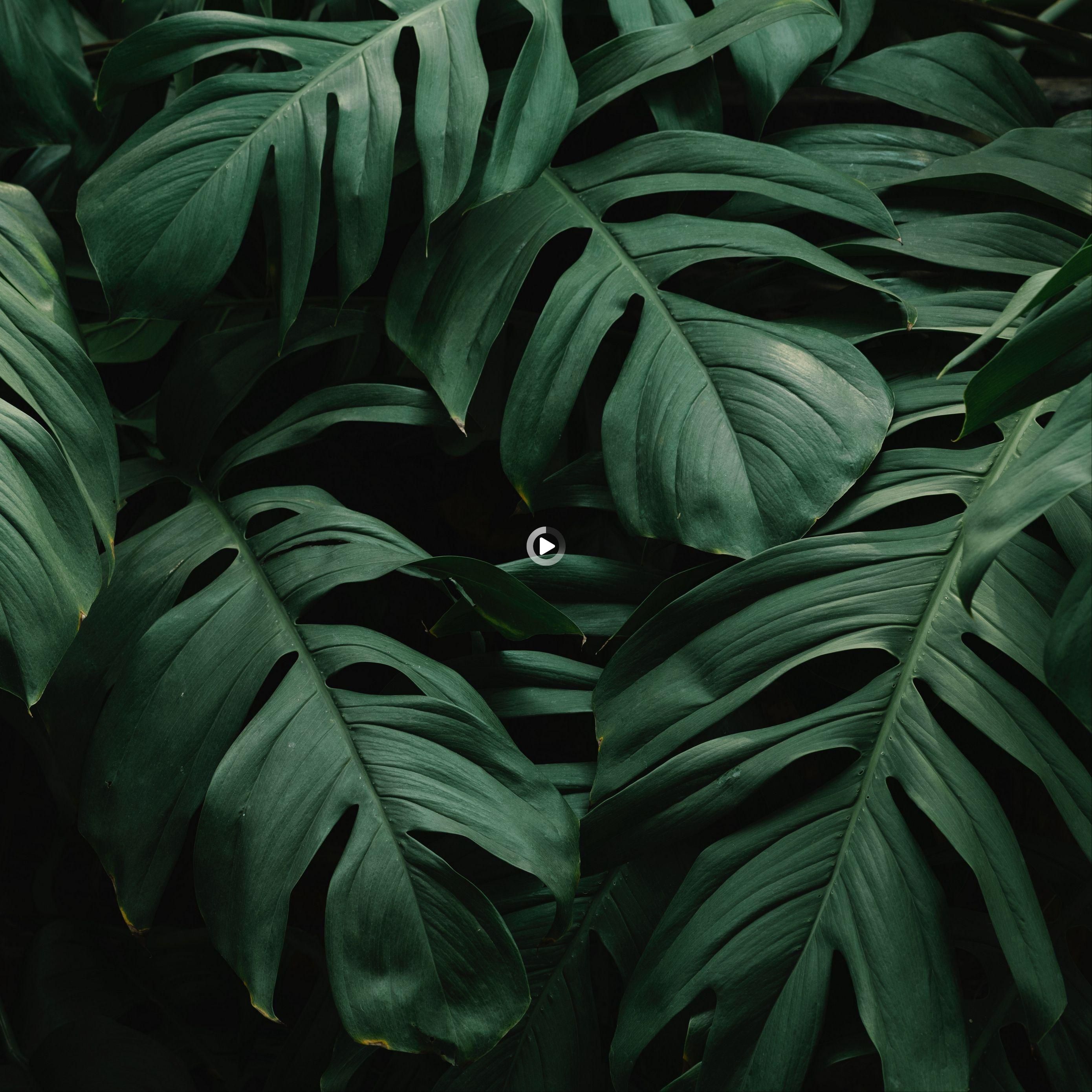 Redirecting. iPad air wallpaper, iPad mini wallpaper, iPad pro wallpaper