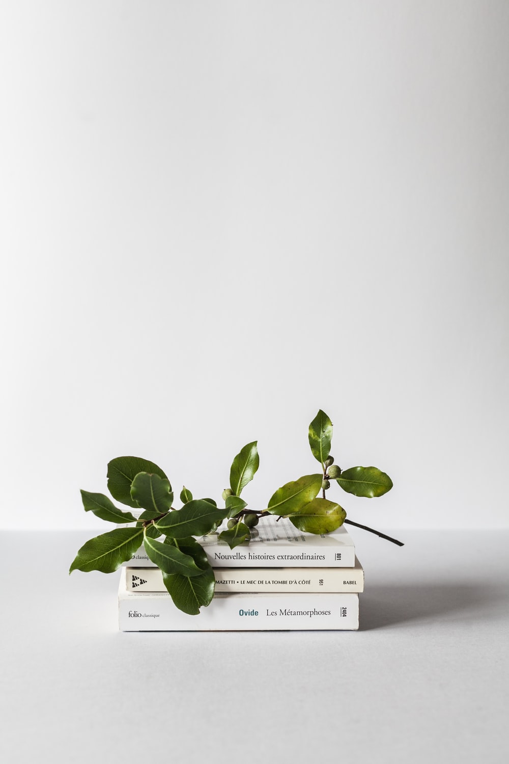Desk Aesthetic Picture. Download Free Image
