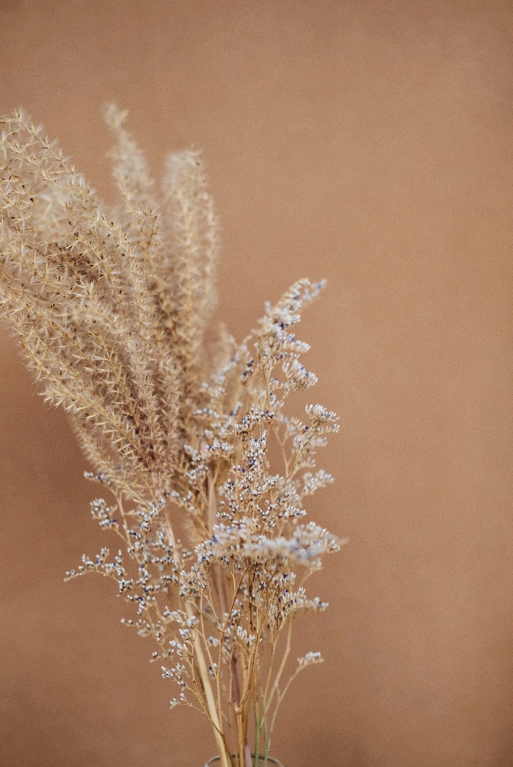 Brown Aesthetic Picture. Download Free Image
