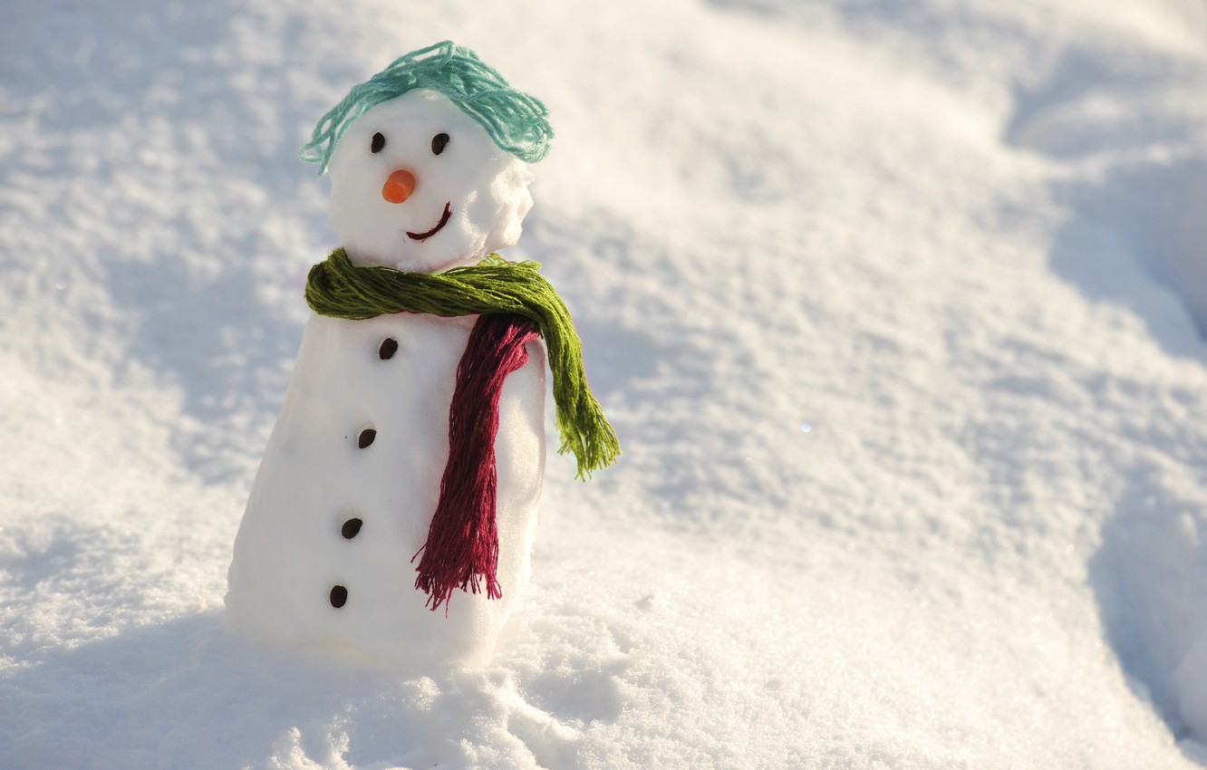 Wallpaper winter, snow, snowman, happy, winter, snow, day, snowman image for desktop, section настроения