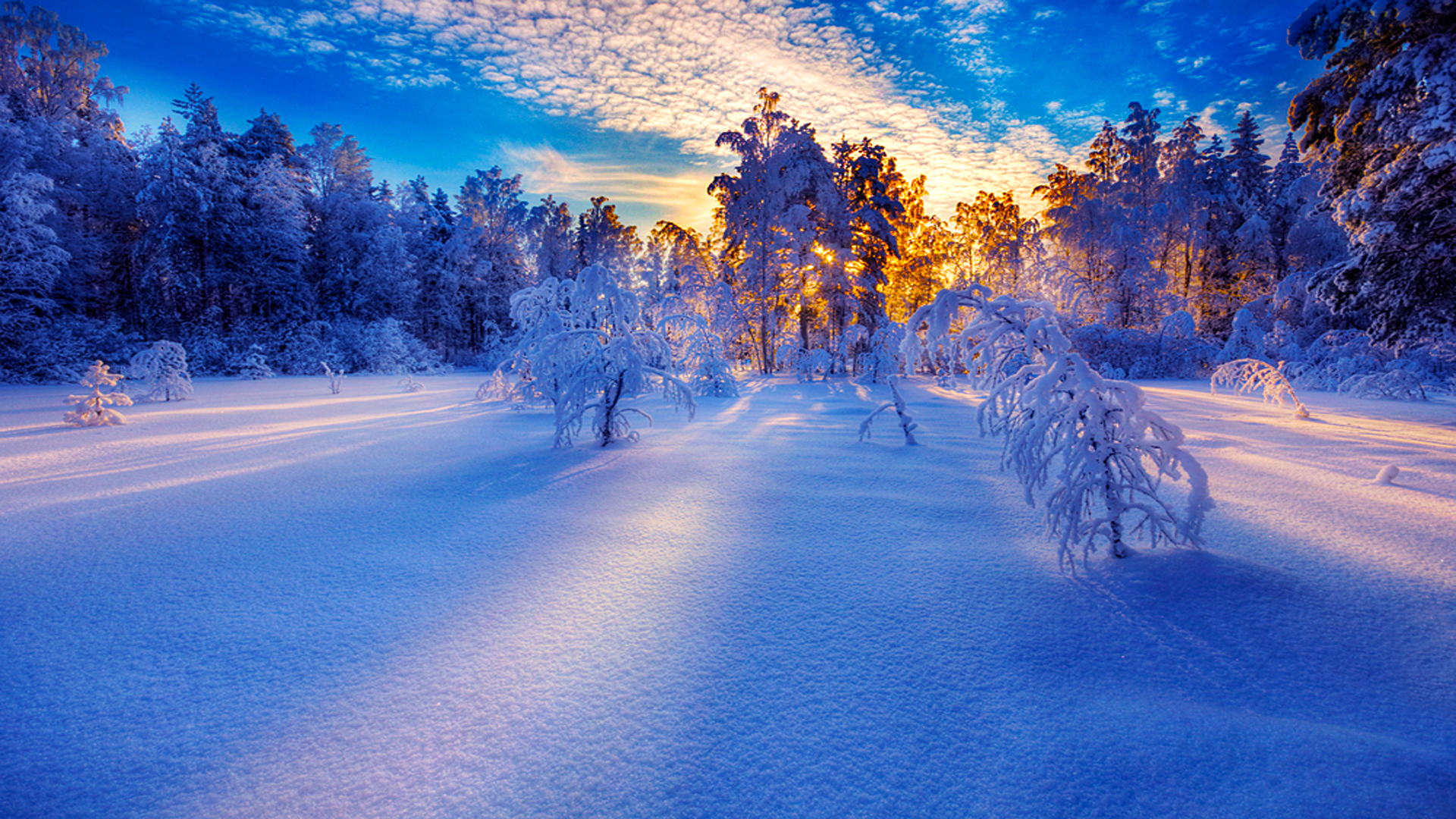 Snow sunrise wallpaper. iOS wallpaper and Android wallpaper