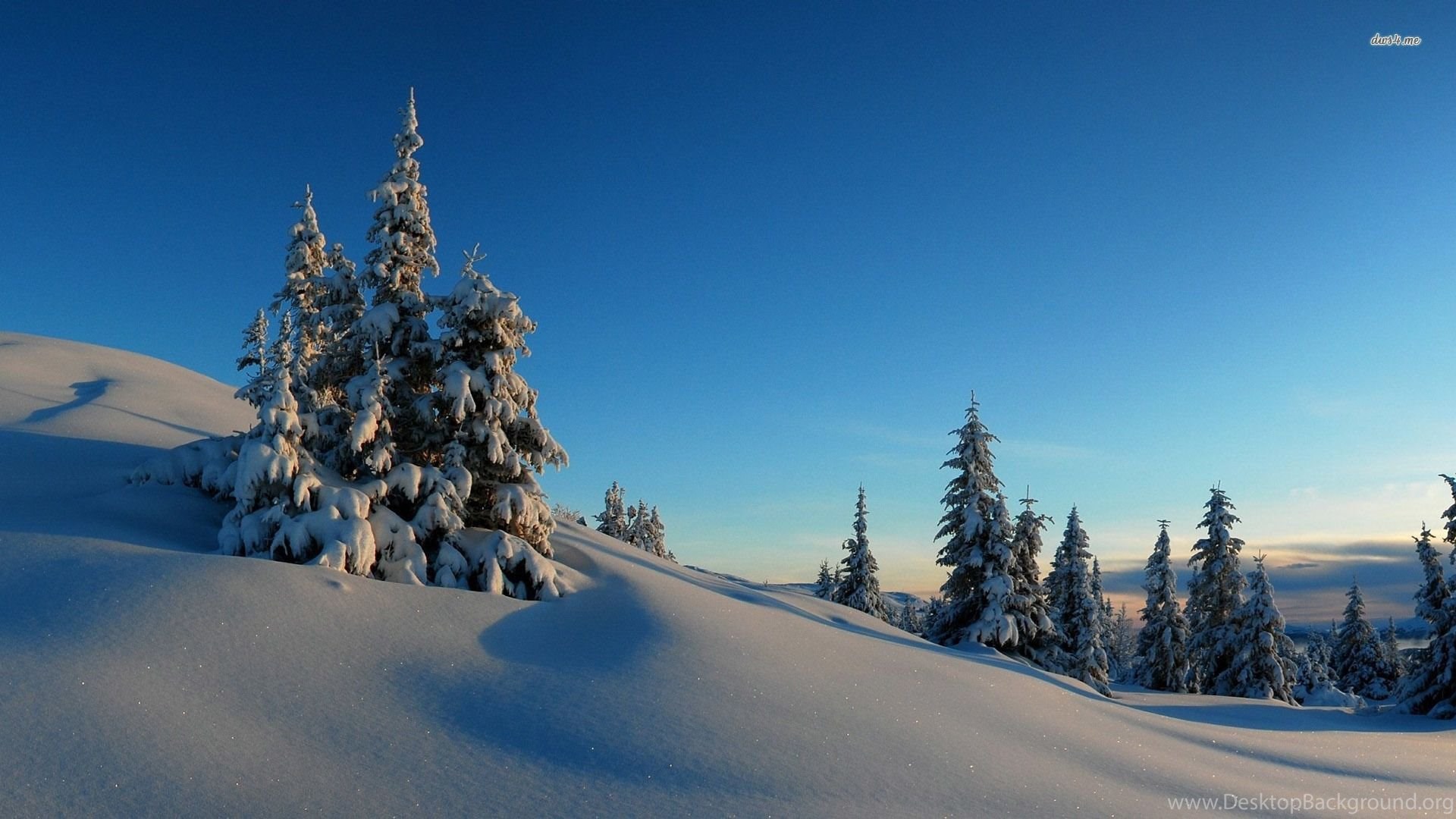 Sunny Winter Day In The Snowy Mountains Wallpaper Nature. Desktop Background