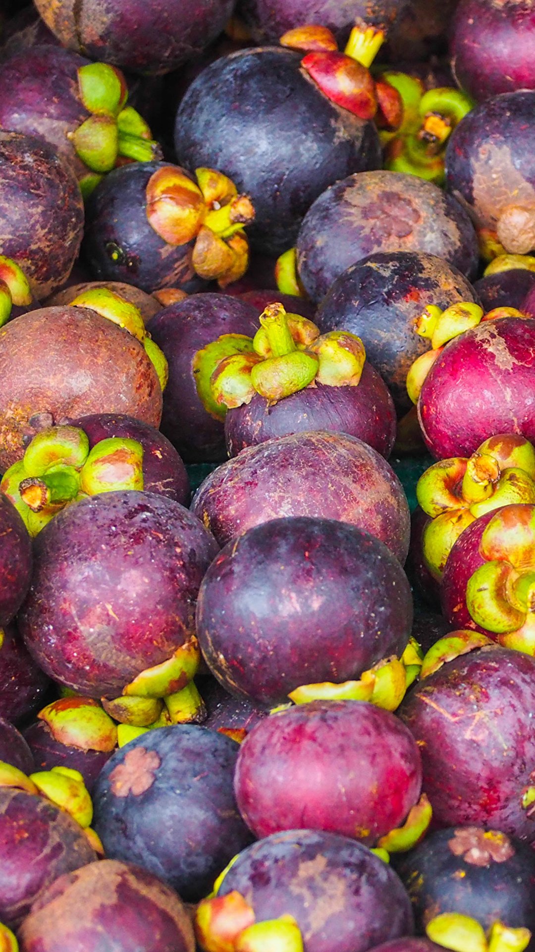 Pictures Food Fruit Mangosteen Many 1080x1920