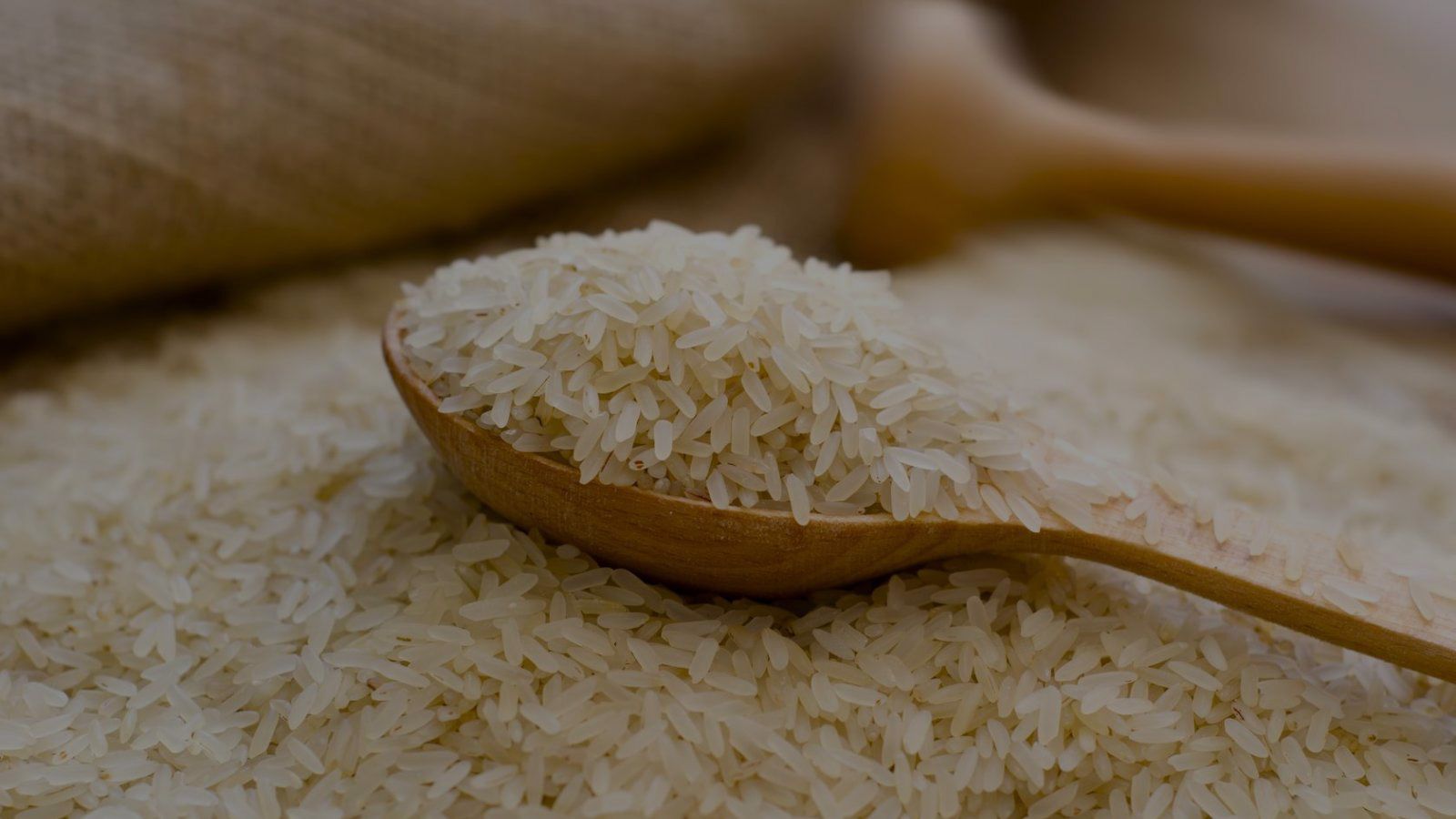 Rice Wallpapers