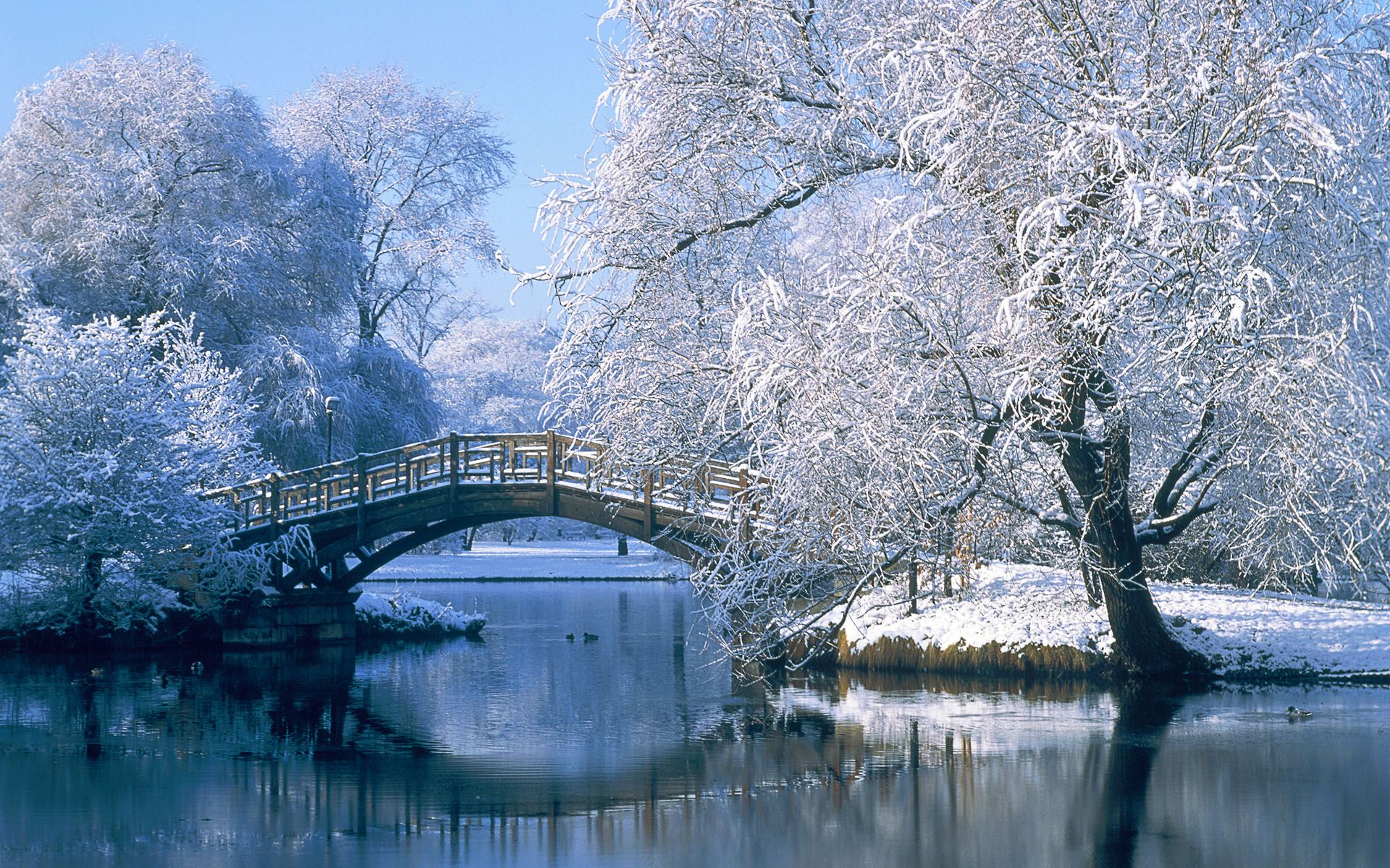Winter Bridge Wallpaper