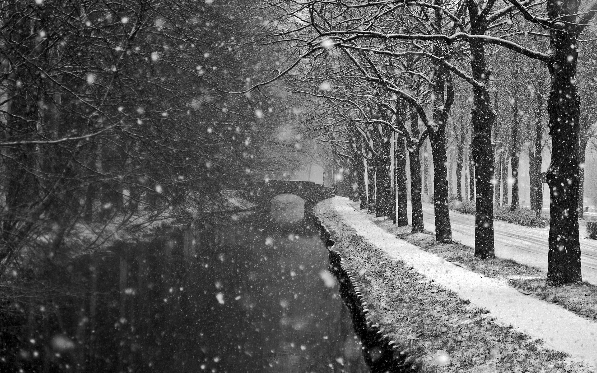 photography, Water, Monochrome, Landscape, Nature, River, Snow, Trees, Winter, Bridge Wallpaper HD / Desktop and Mobile Background