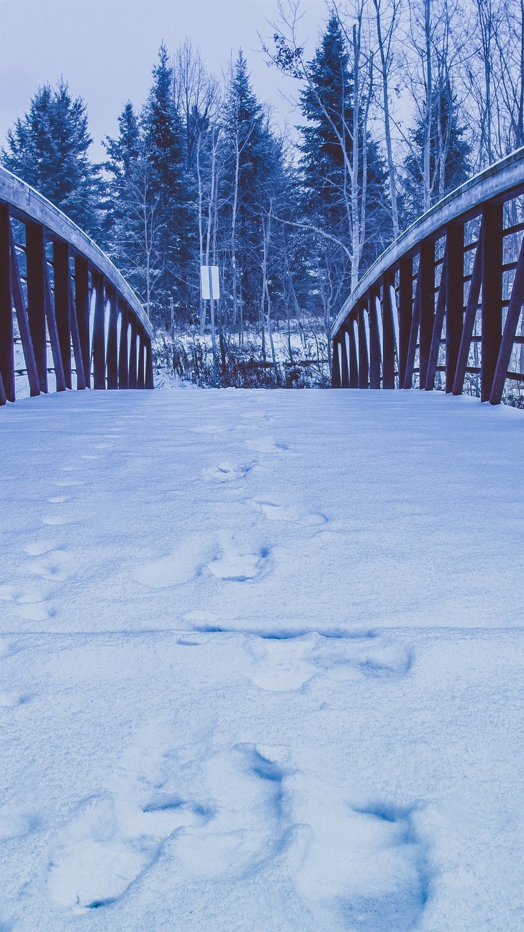 Wallpaper Snow, bridge, trees, winter 3840x2160 UHD 4K Picture, Image