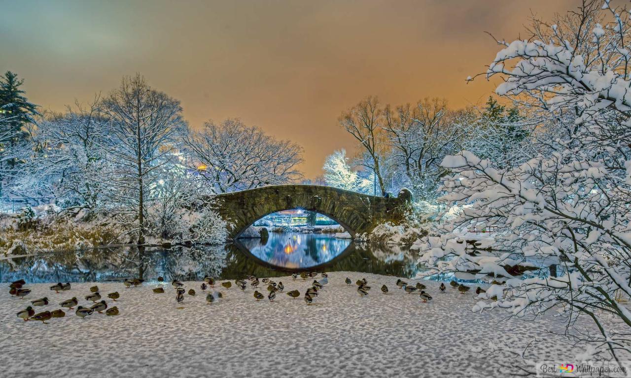 Gapstow bridge in central park in winter HD wallpaper download