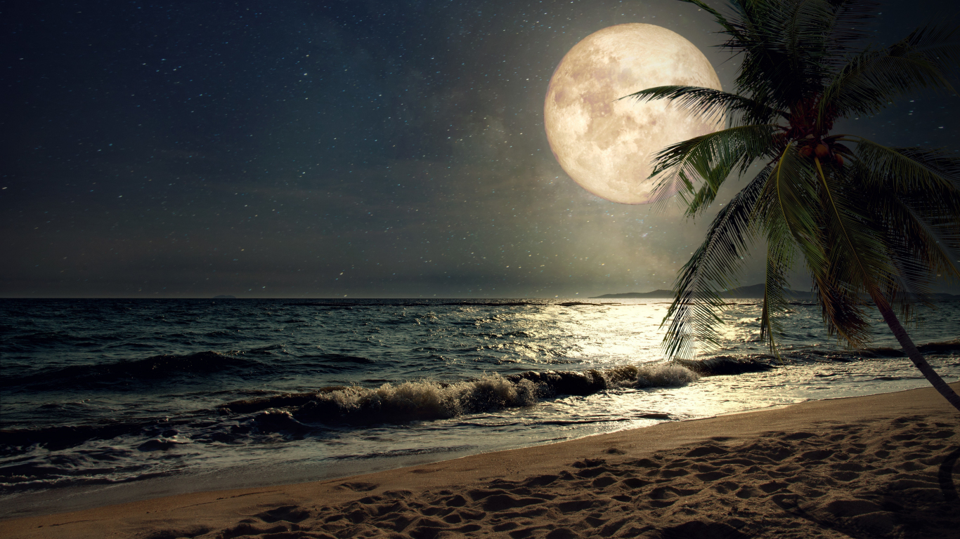 Download 1366x768 wallpaper beach, sand, night's moon, palm tree, nature, tablet, laptop, 1366x768 HD image, background, 8489
