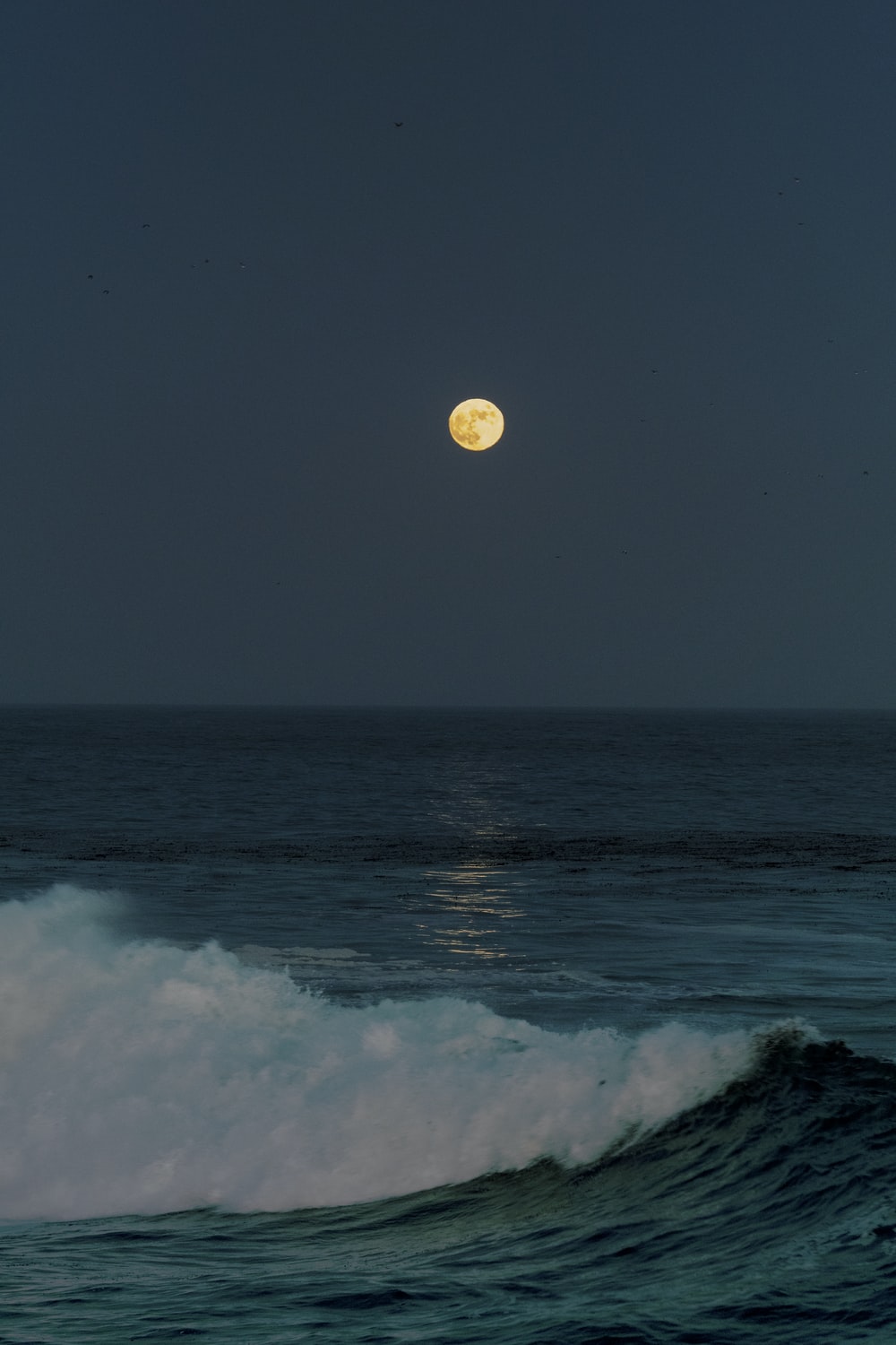 Moon Sea Picture. Download Free Image