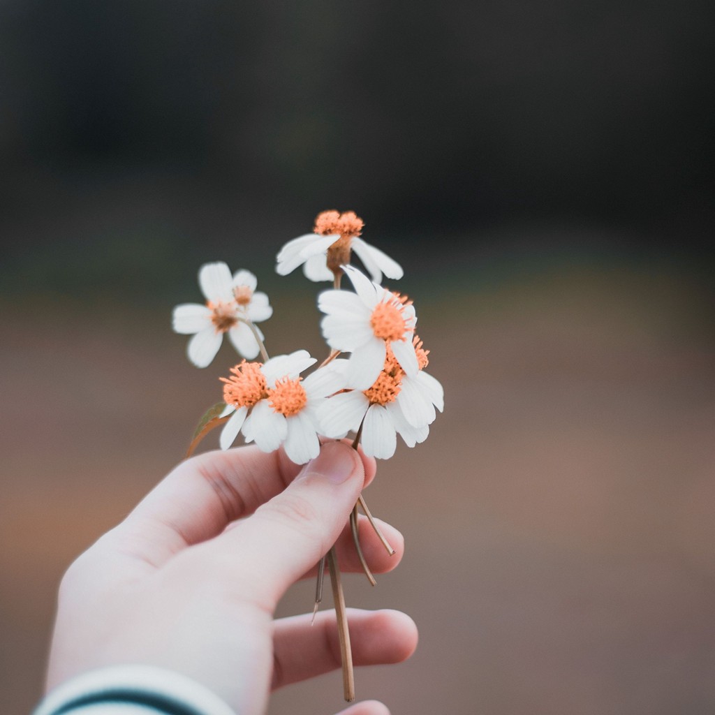 Hand Flowers Field Wallpaper - [1024x1024]