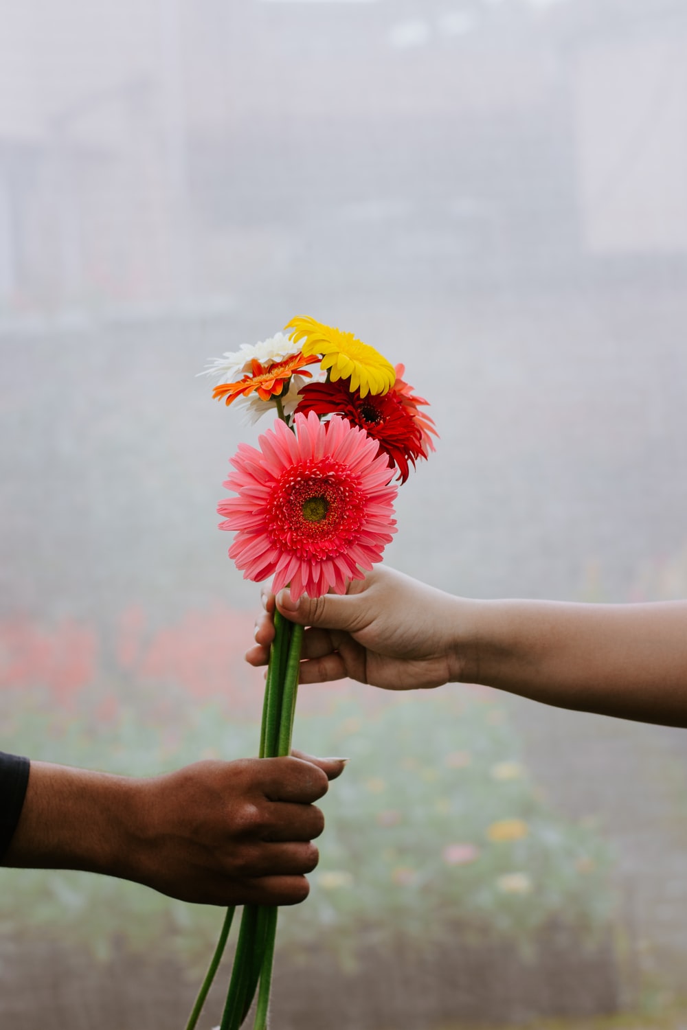 Flower In Hand Wallpapers - Wallpaper Cave