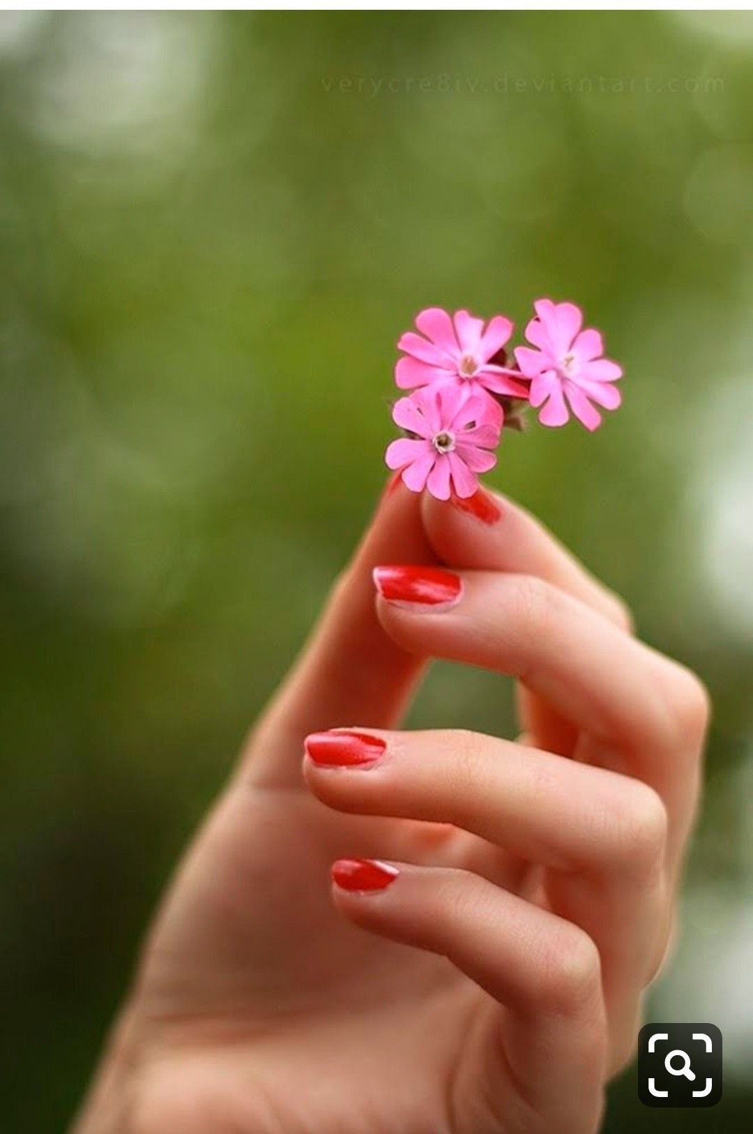 Flower In Hand Wallpapers - Wallpaper Cave