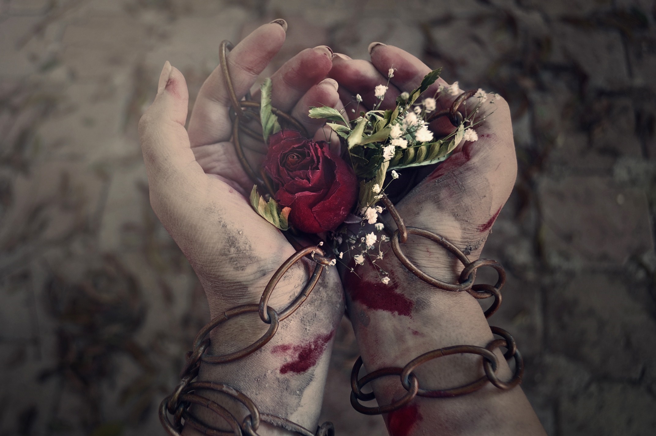 hands, flowers, emotion, Person, flower, hand, arm HD Wallpaper