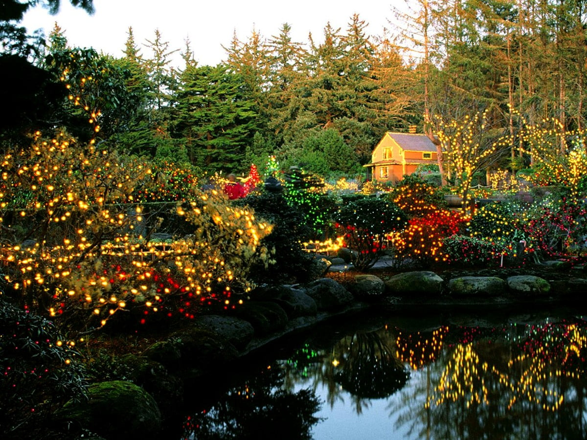 Aesthetic wallpaper Nature, Merry Christmas, Reflection. Free TOP wallpaper