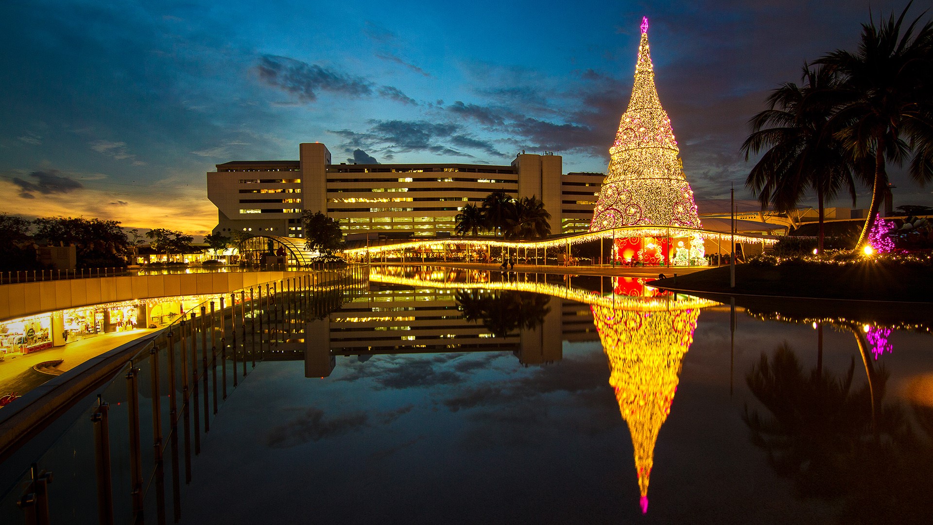 An illuminated Christmas Tree next to a shopping mall in Singapore. Windows 10 Spotlight Image