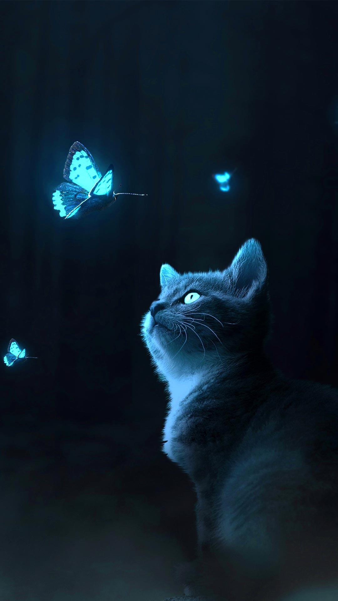 Cat Butterfly Wallpapers - Wallpaper Cave