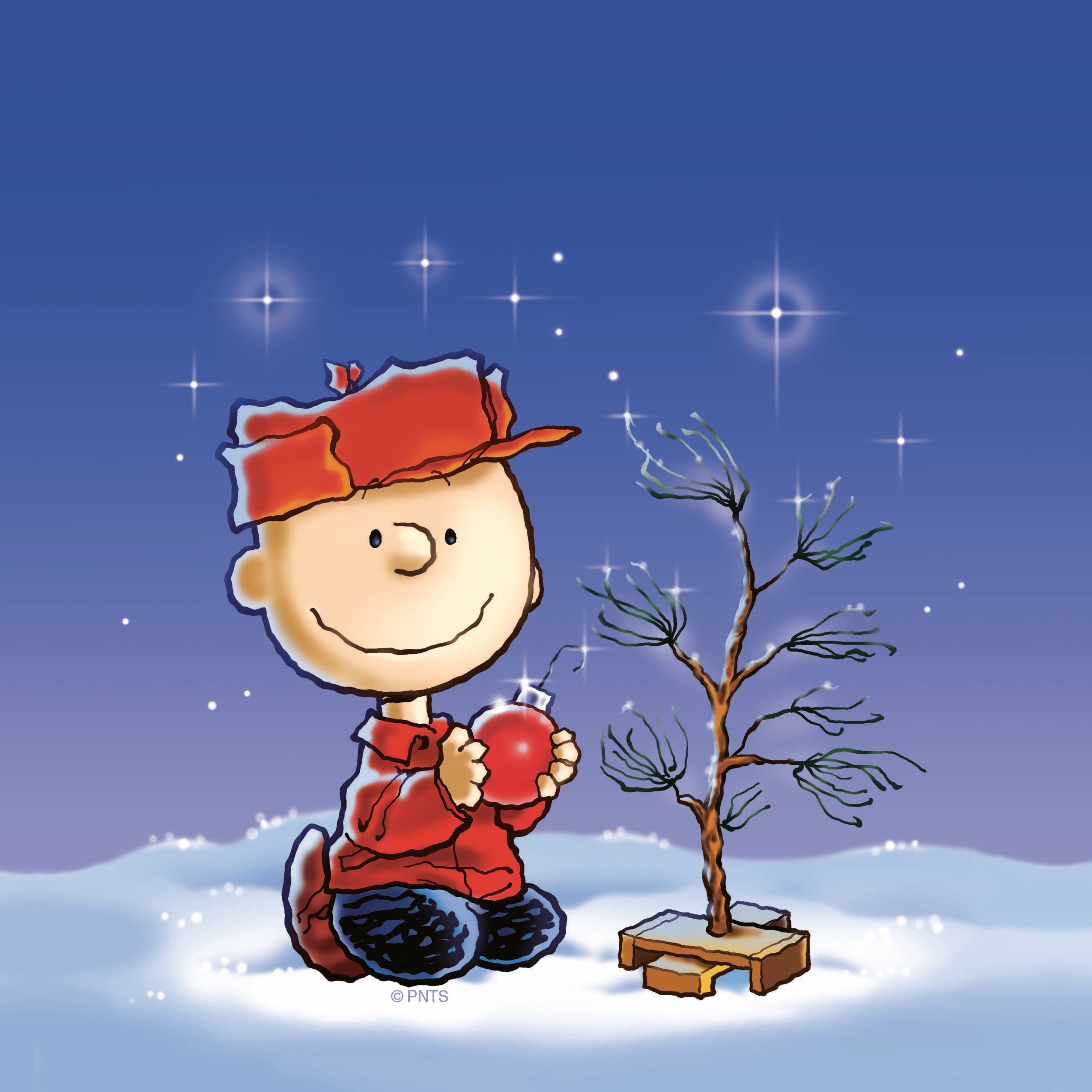 Free download Charlie Brown Christmas Tree Wallpaper [2550x2550] for your Desktop, Mobile & Tablet. Explore Charlie Brown Christmas Tree Wallpaper. Merry Christmas Charlie Brown Wallpaper