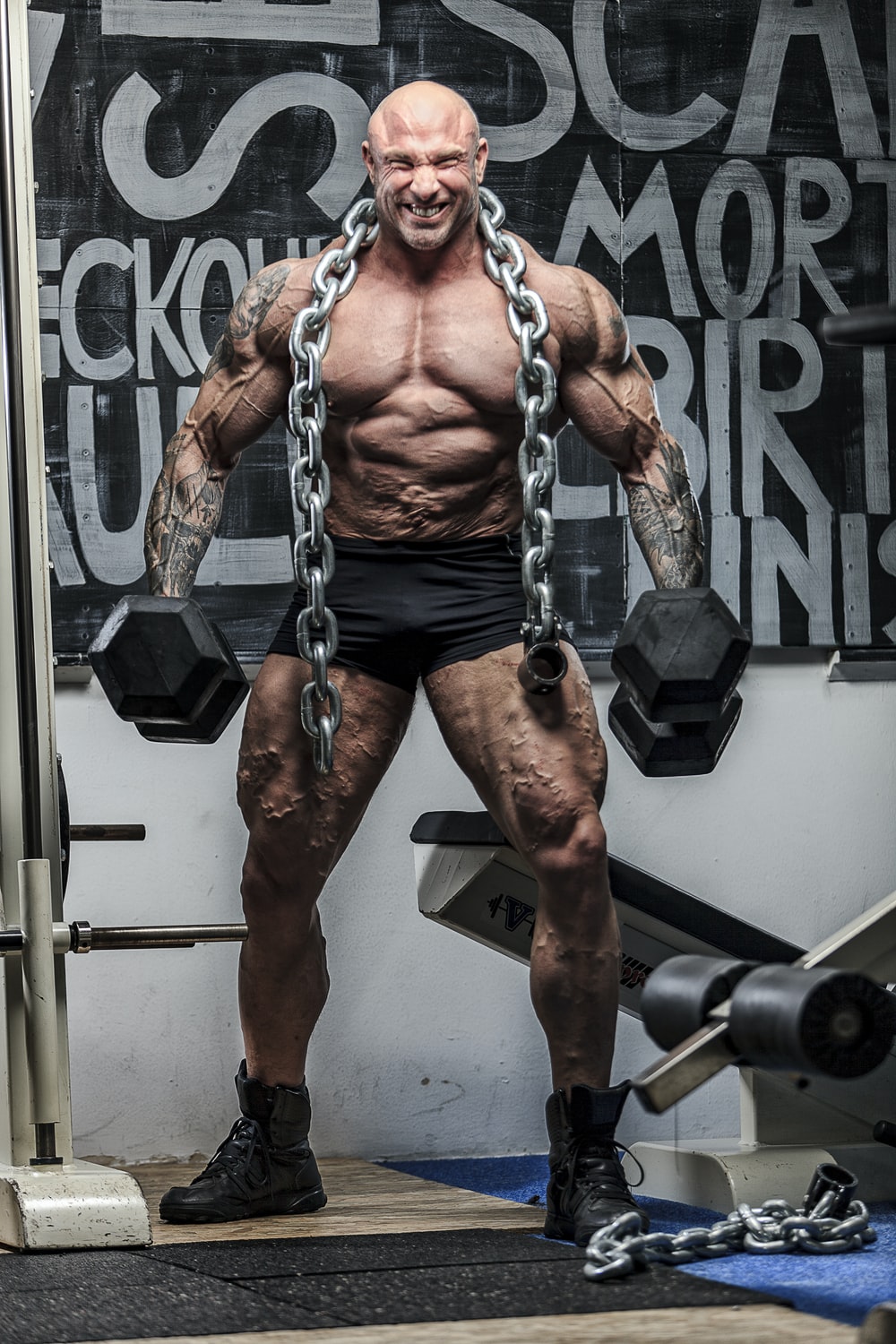 Bodybuilder Photo [HD]. Download Free Image