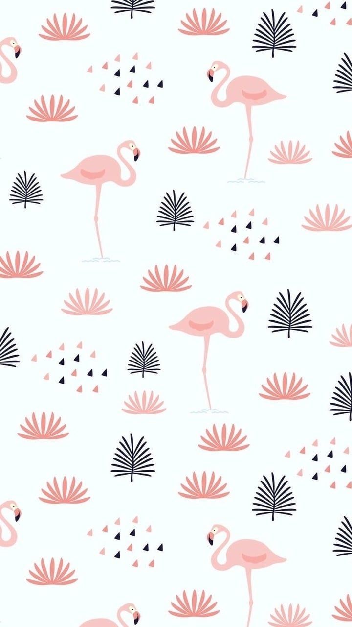 Cute Flamingo Wallpaper Free Cute Flamingo Background