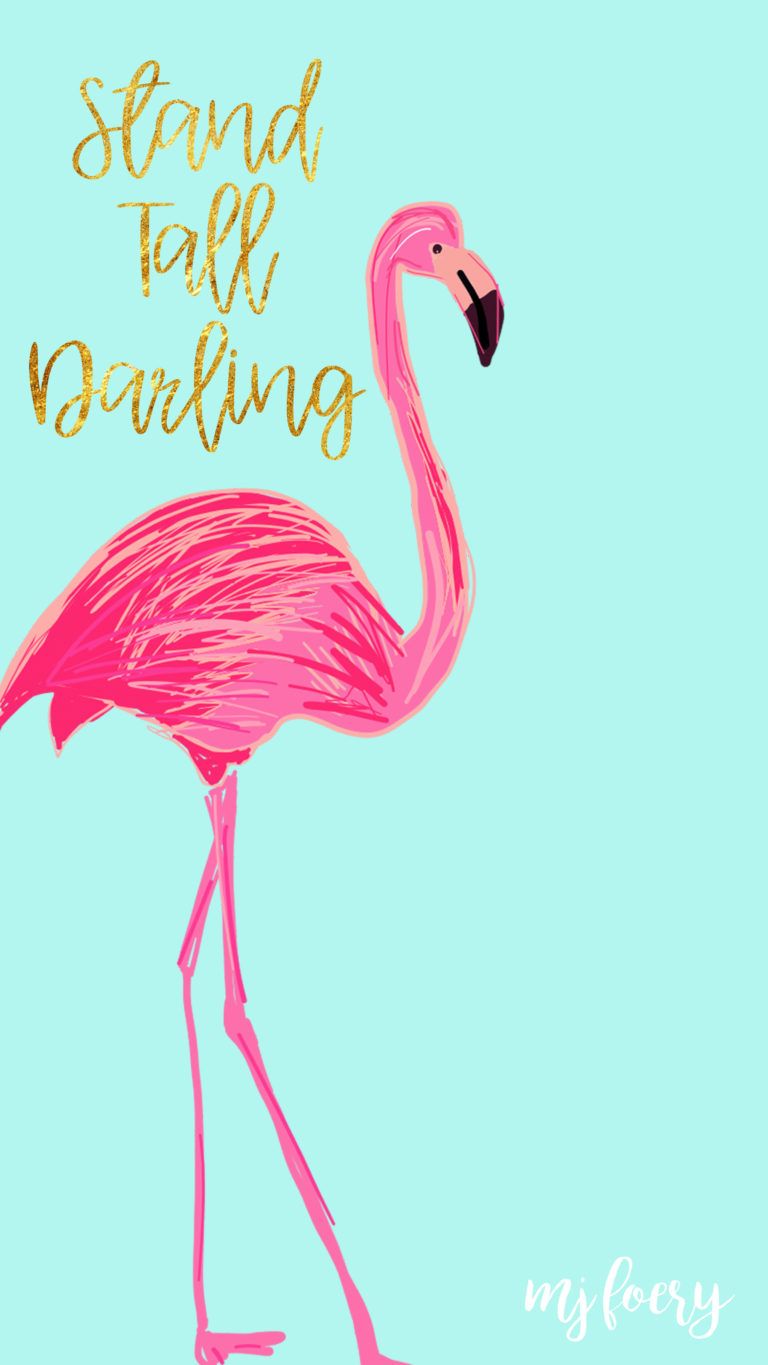 Flamingo Friday