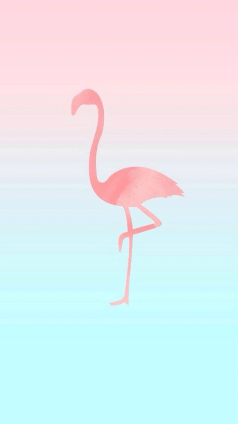 Flamingo Wallpaper