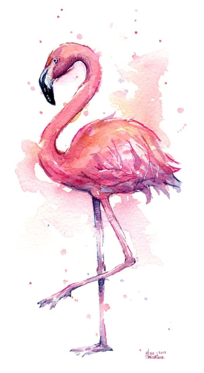 Cute Flamingo Wallpaper
