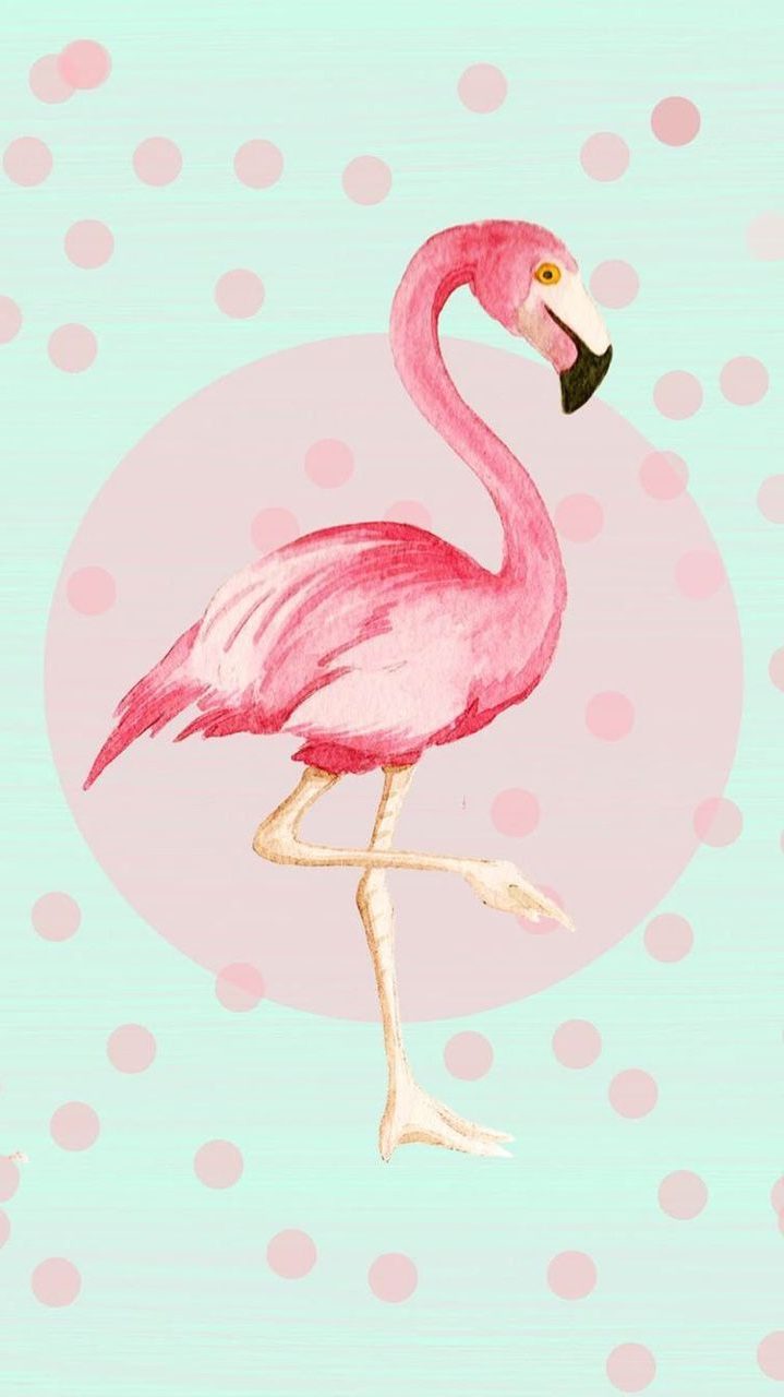 Flamingo Wallpaper