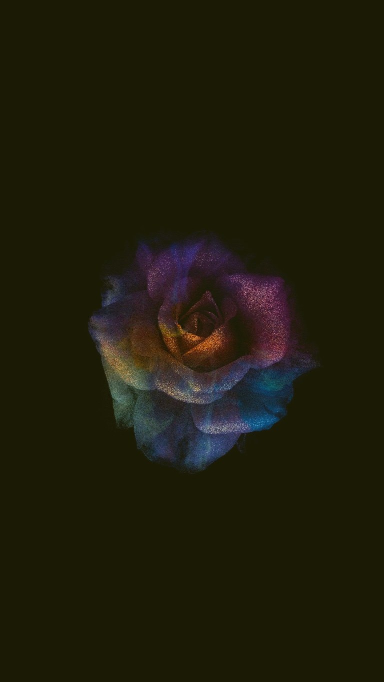 Rainbow Color Rose Dark Amoled Samsung Galaxy A21s