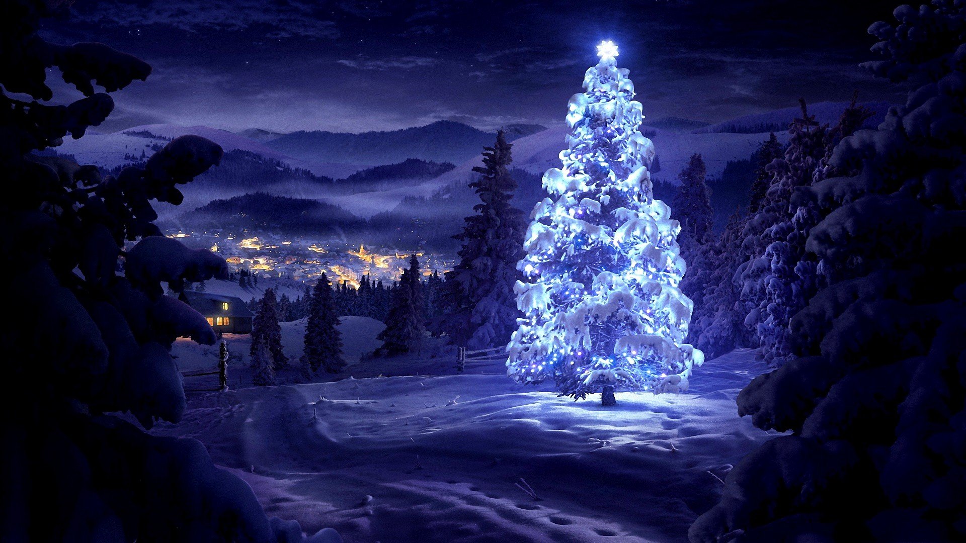 Christmas, Snow, Pine trees HD Wallpaper / Desktop and Mobile Image & Photo