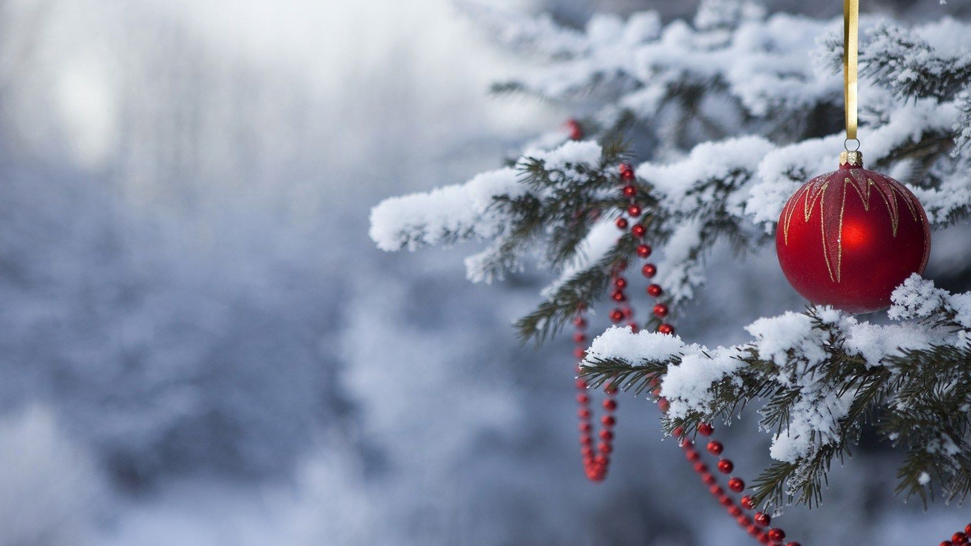 Snow Covered Pine Tree With Red Christmas Ball HD Christmas Wallpaper